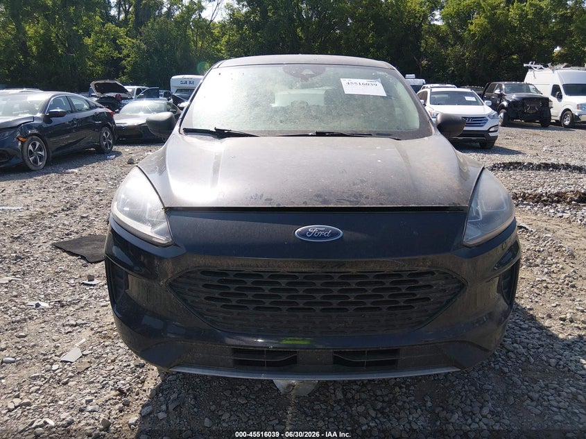 AtlanticExpress - Ford Escape