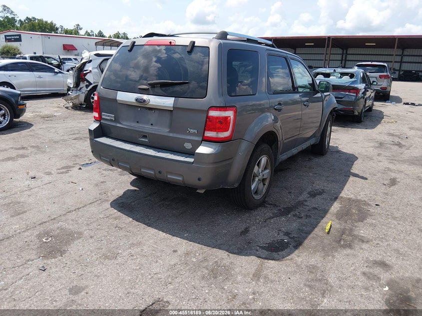 AtlanticExpress - Ford Escape