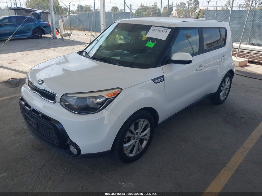 AtlanticExpress - Kia Soul
