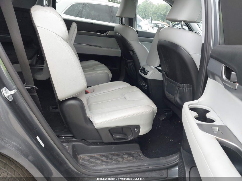2020 Hyundai Palisade Sel VIN: KM8R44HE7LU101497 Lot: 45516905