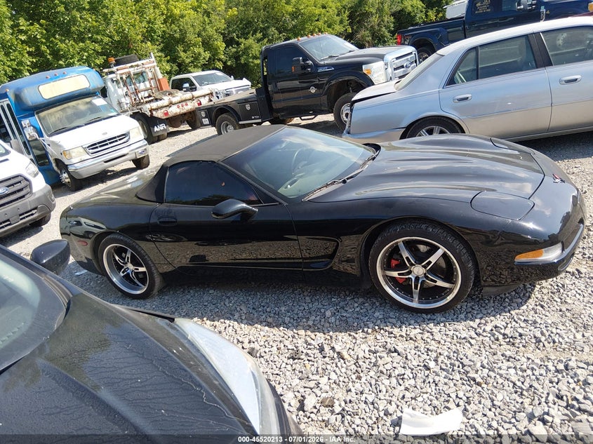 AtlanticExpress - Chevrolet Corvette