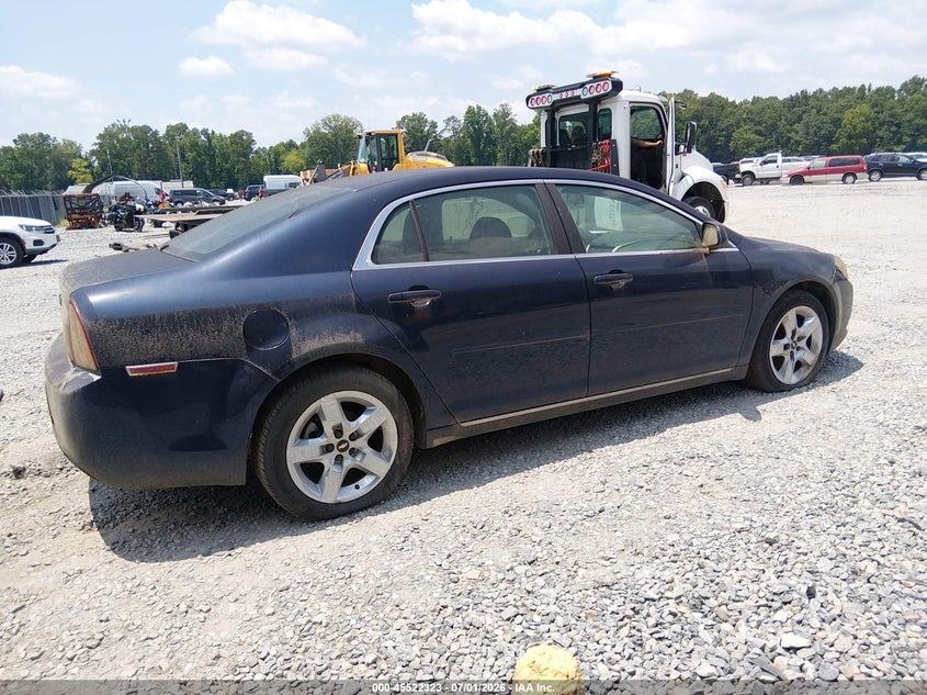 AtlanticExpress - Chevrolet Malibu Limited
