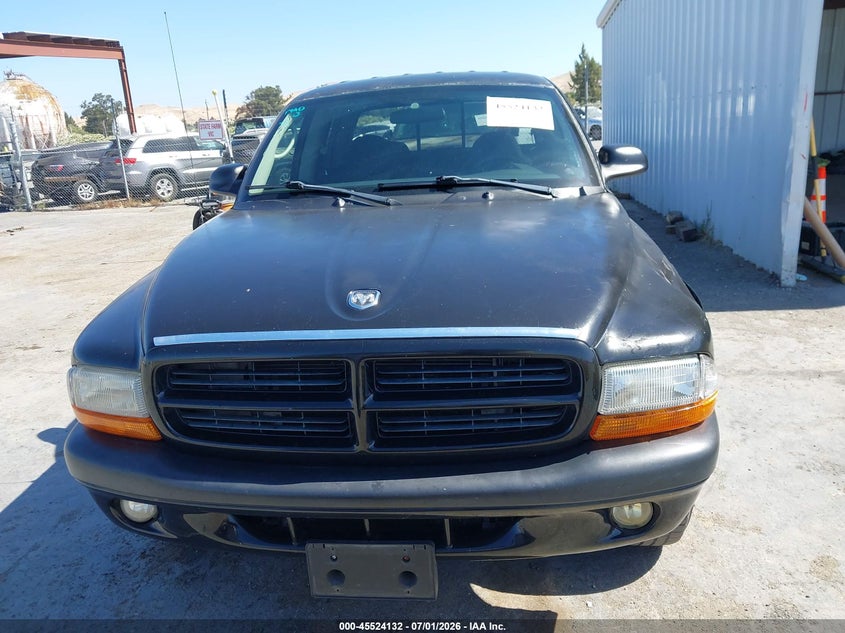 2003 Dodge Dakota Sport/Sxt VIN: 1D7HL38N13S196363 Lot: 45524132