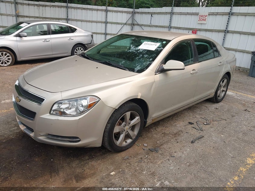 AtlanticExpress - Chevrolet Malibu