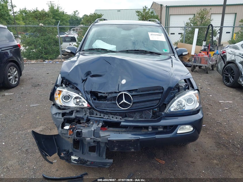 2003 Mercedes-Benz Ml 320 VIN: 4JGAB54E03A387497 Lot: 45529087