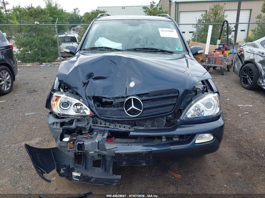2003 Mercedes-Benz Ml 320 VIN: 4JGAB54E03A387497 Lot: 45529087