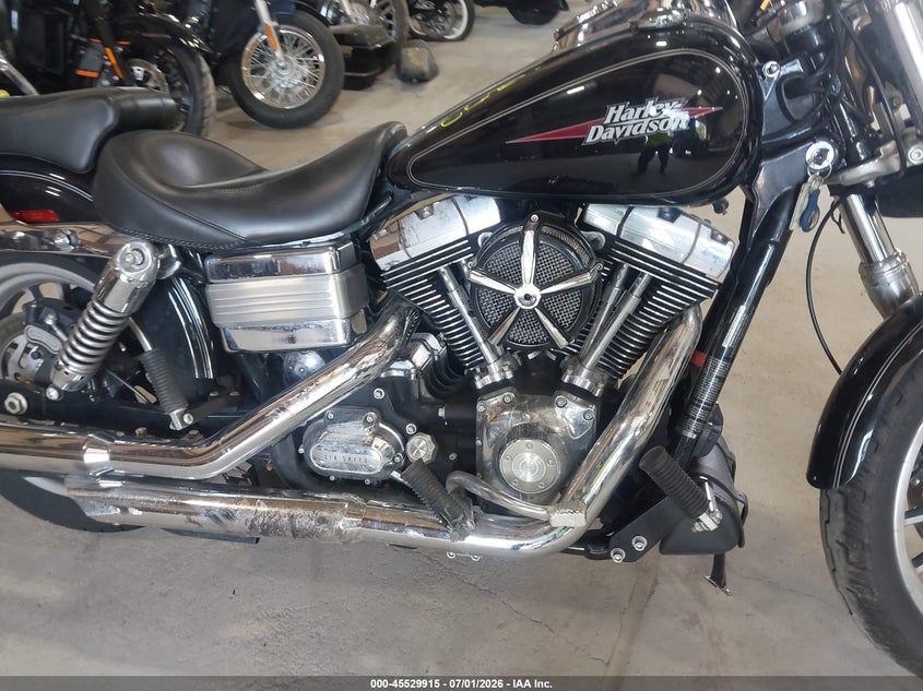 2009 Harley-Davidson Fxdl VIN: 1HD1GN4109K324985 Lot: 45529915