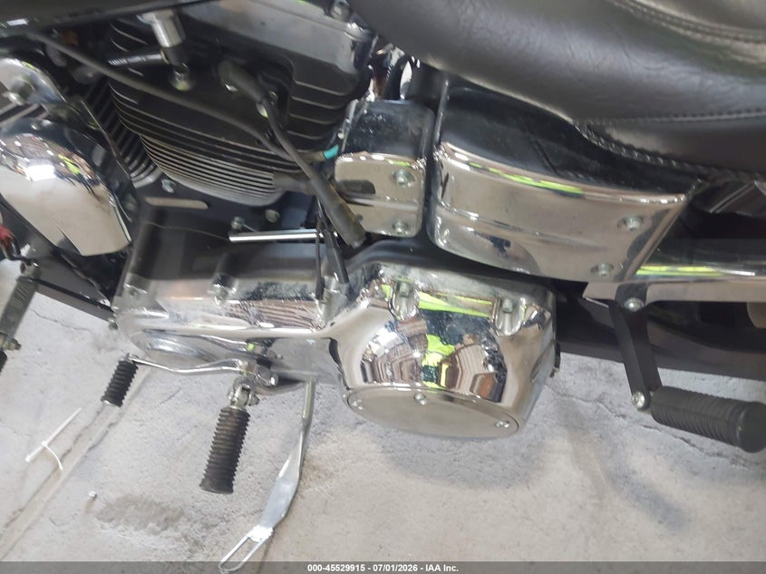 2009 Harley-Davidson Fxdl VIN: 1HD1GN4109K324985 Lot: 45529915