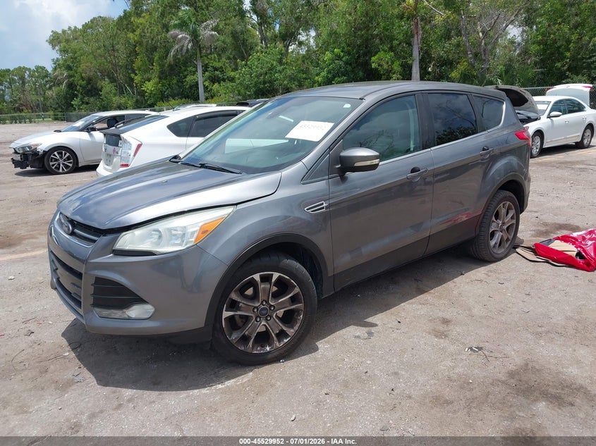 AtlanticExpress - Ford Escape