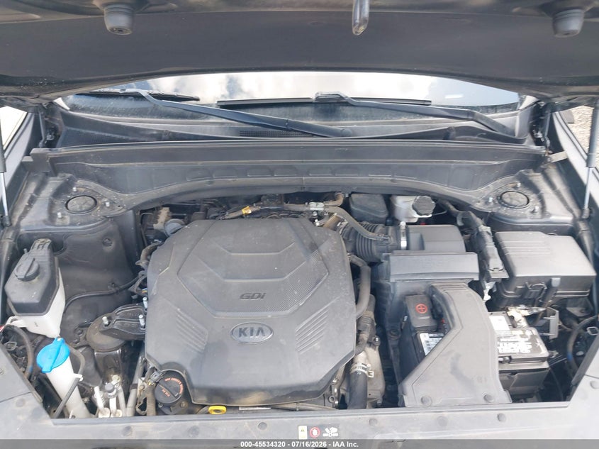 2020 Kia Telluride Sx VIN: 5XYP54HC6LG058361 Lot: 45534320