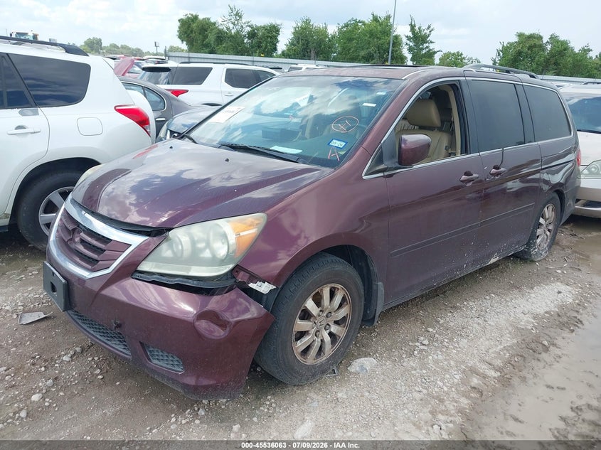 AtlanticExpress - Honda Odyssey