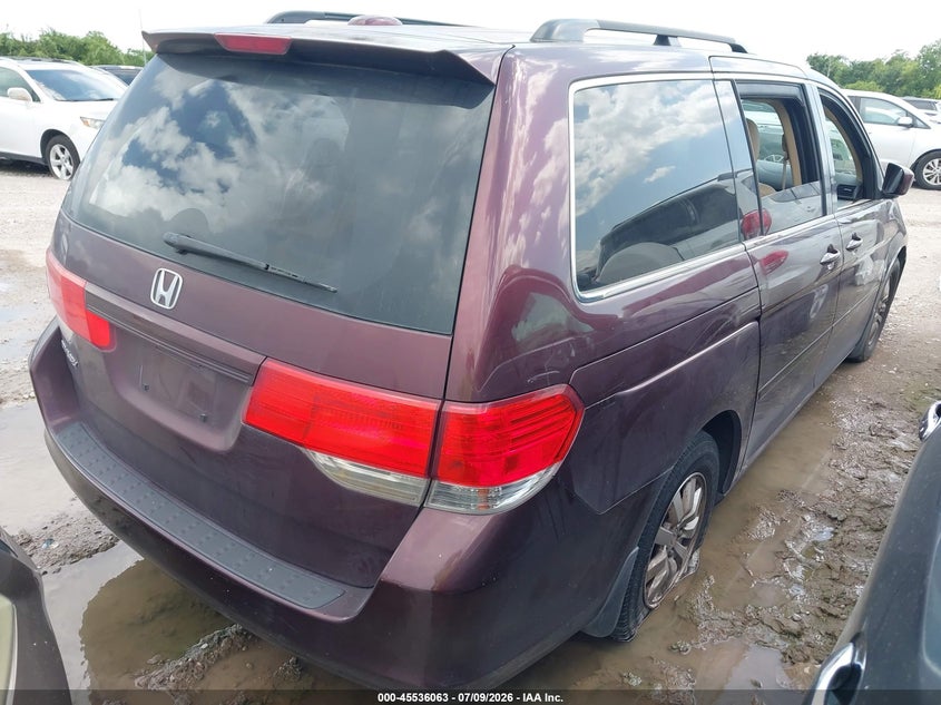 AtlanticExpress - Honda Odyssey