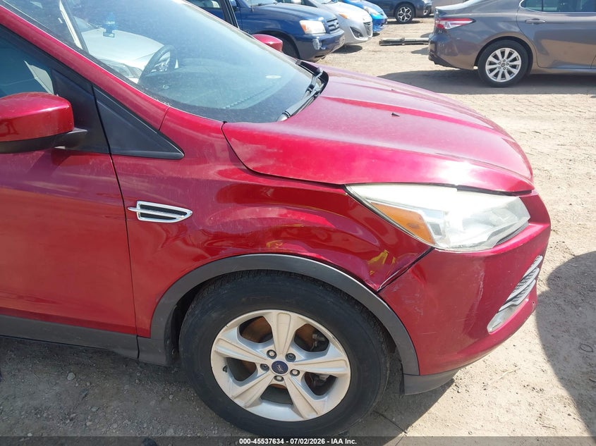 AtlanticExpress - Ford Escape