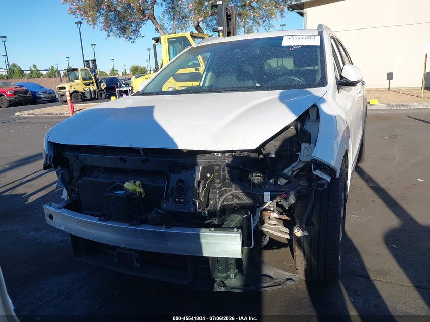 2019 Kia Niro Ev Ex Premium VIN: KNDCE3LG3K5017826 Lot: 45541804