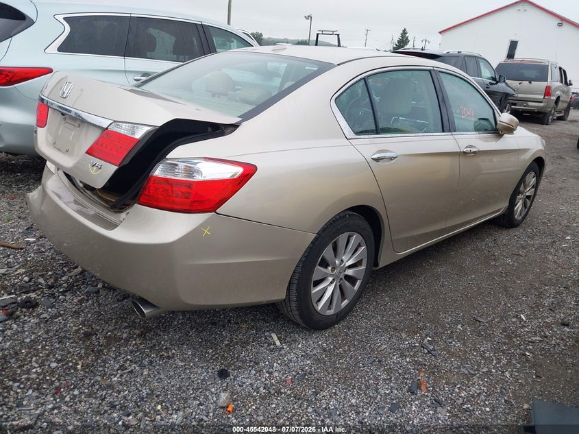 AtlanticExpress - Honda Accord