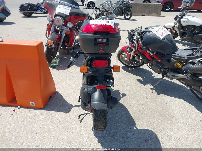 2024 HONDA NPS50 auction photo 6