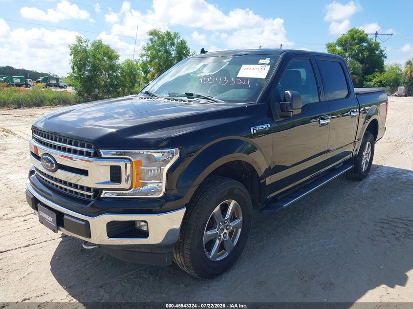 1FTEW1E44KKF15385 2019 Ford F-150 Xlt photo 1