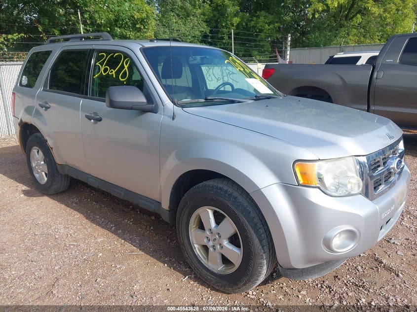 2010 FORD ESCAPE XLT