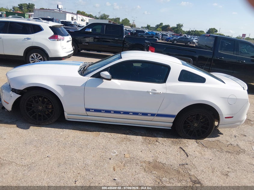 AtlanticExpress - Ford Mustang