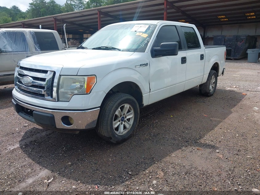Vin: 1ftew1cmxbkd12584, lot: 46045041, ford f-150 xlt 20112