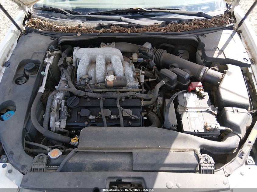 2004 Nissan Maxima 3.5 Sl VIN: 1N4BA41E94C903846 Lot: 45549570