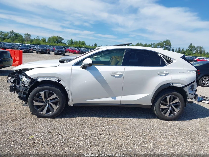 2019 Lexus Nx 300 VIN: JTJBARBZ8K2197588 Lot: 45549911