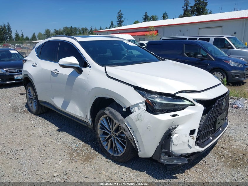 2024 LEXUS NX 350H auction photo 1