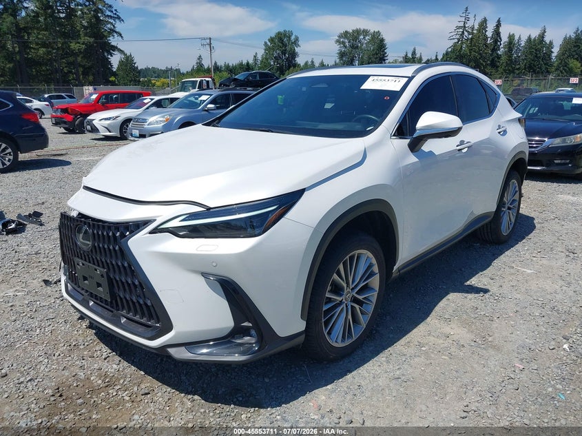 2024 LEXUS NX 350H auction photo 2