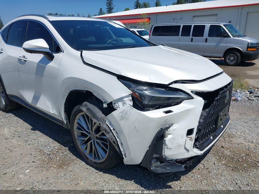 2024 LEXUS NX 350H auction photo 6