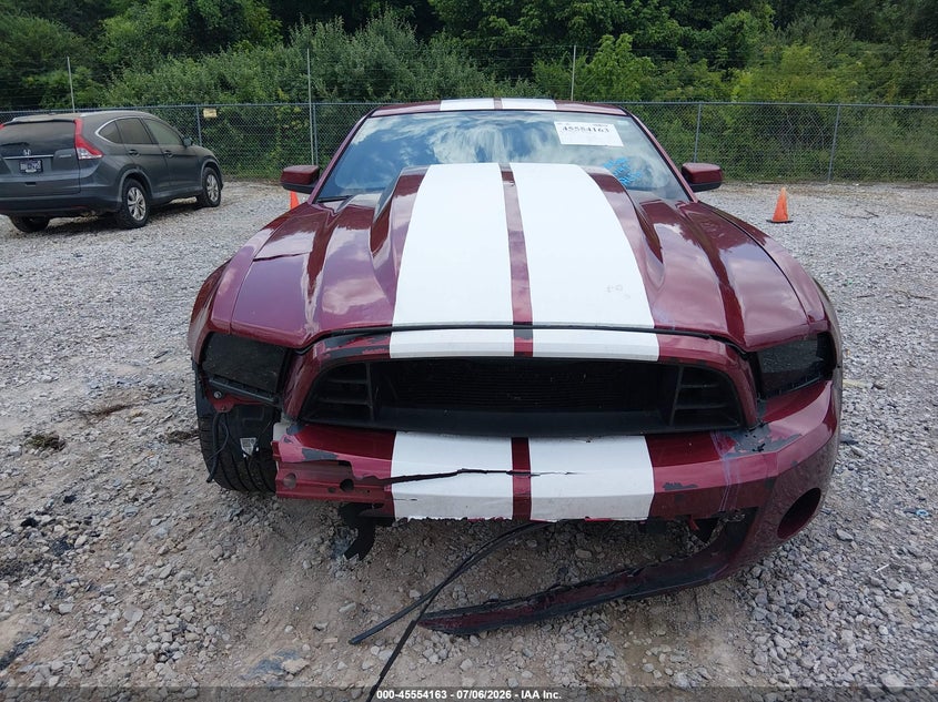 2014 Ford Mustang Gt/Gt Premium VIN: 1ZVBP8CF2E5293460 Lot: 45554163