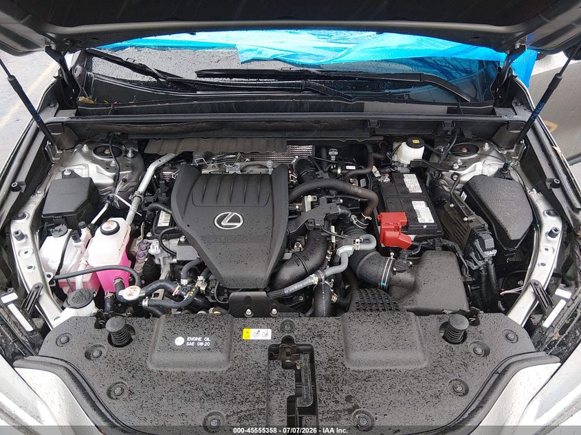 2025 Lexus Nx 350 Premium VIN: 2T2GGCEZ6SC091797 Lot: 45555358