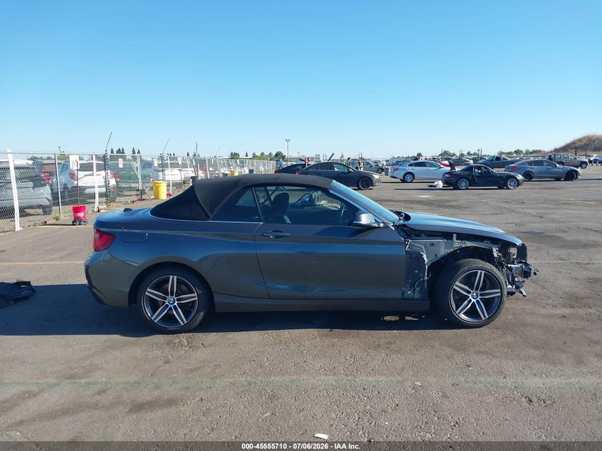 2017 BMW 230I xDrive VIN: WBA2M9C51HV717351 Lot: 45555710