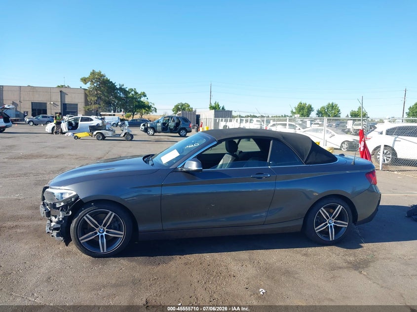 2017 BMW 230I xDrive VIN: WBA2M9C51HV717351 Lot: 45555710