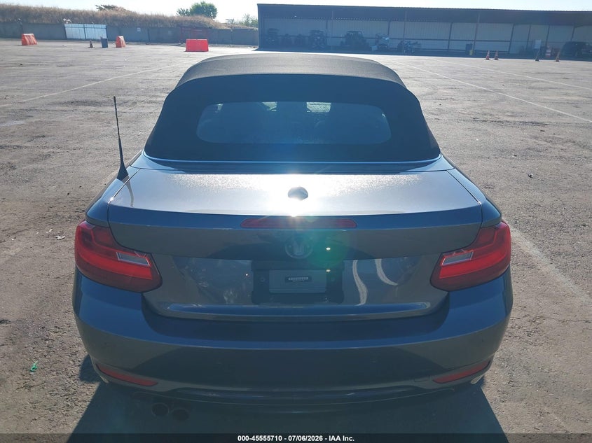2017 BMW 230I xDrive VIN: WBA2M9C51HV717351 Lot: 45555710