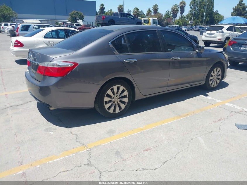 AtlanticExpress - Honda Accord