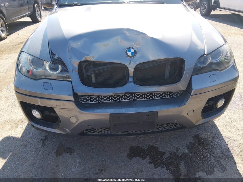 2009 BMW X6 xDrive50I VIN: 5UXFG83579LZ93308 Lot: 45556635