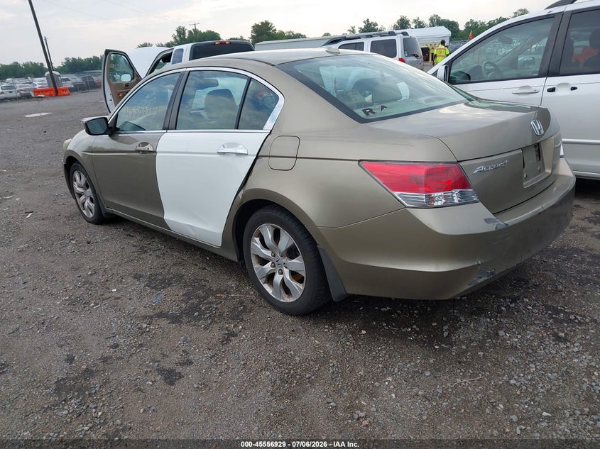 AtlanticExpress - Honda Accord