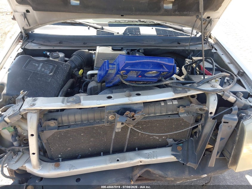 2006 Isuzu Ascender S VIN: 4NUDS13S462701463 Lot: 45557019