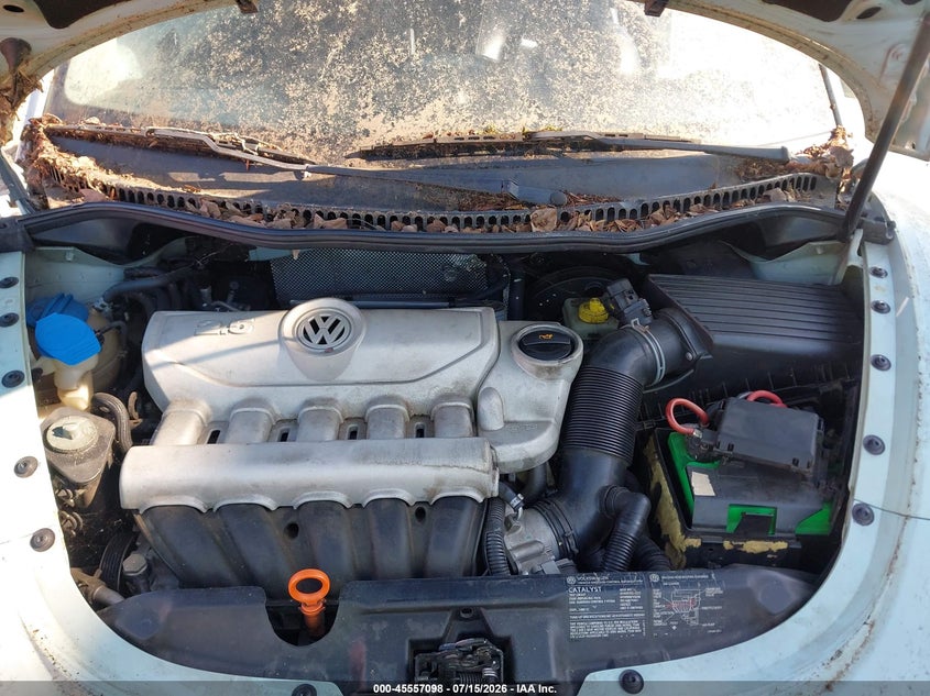2006 Volkswagen New Beetle 2.5 VIN: 3VWRF31Y86M321959 Lot: 45557098