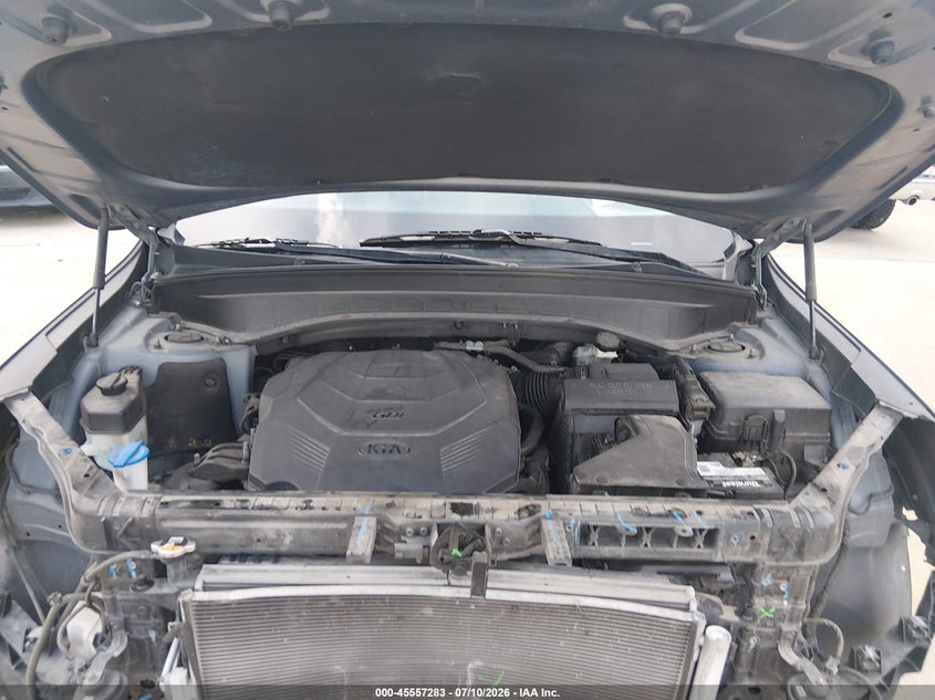 2020 Kia Telluride Lx VIN: 5XYP2DHC5LG070011 Lot: 45557283