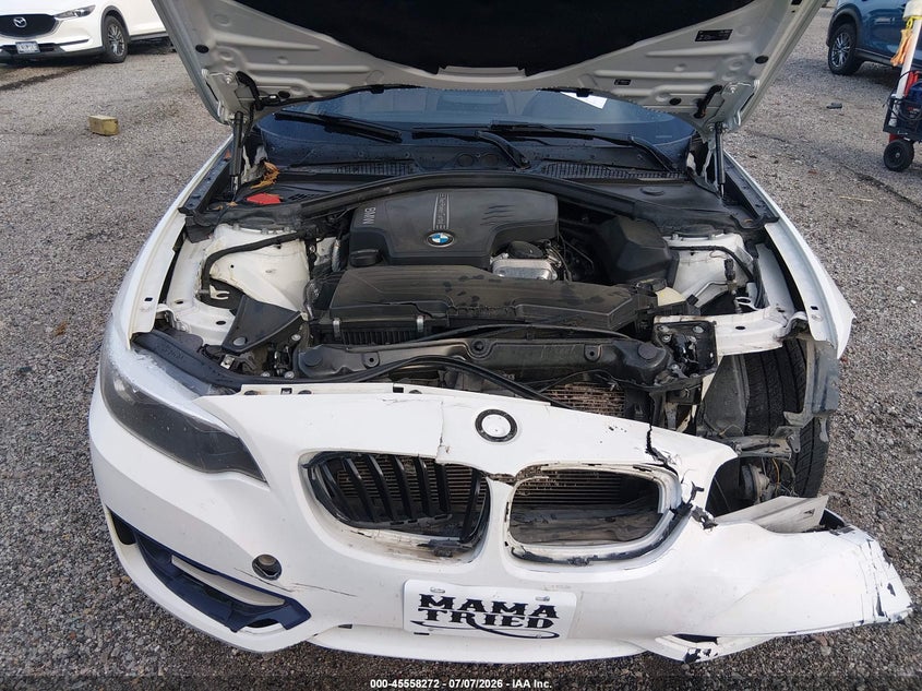 2016 BMW 228I VIN: WBA1F9C54GV545868 Lot: 45558272