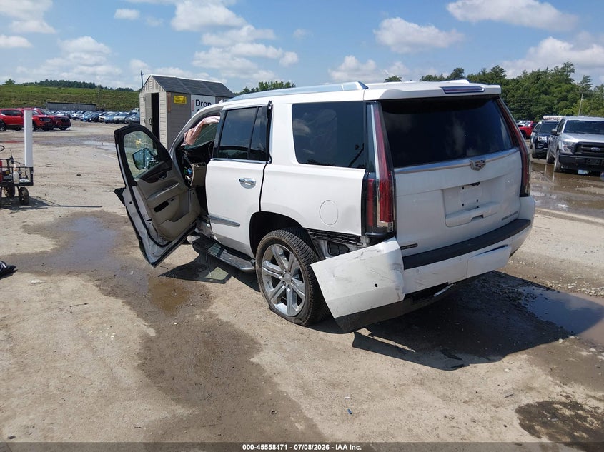 2017 Cadillac Escalade Luxury VIN: 1GYS4BKJ8HR291119 Lot: 45558471
