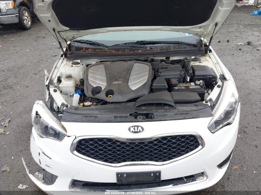2015 Kia Cadenza Premium VIN: KNALN4D70F5190825 Lot: 45559709