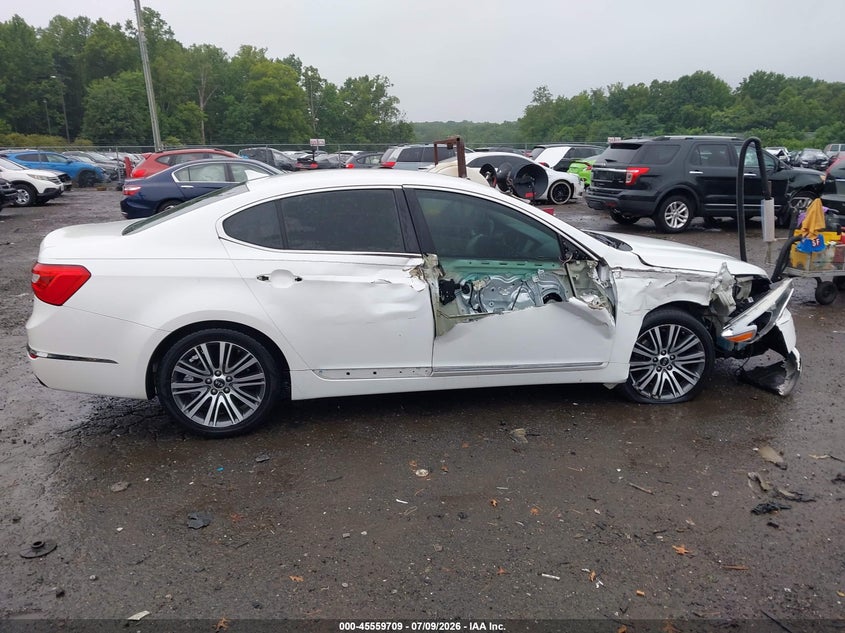 2015 Kia Cadenza Premium VIN: KNALN4D70F5190825 Lot: 45559709