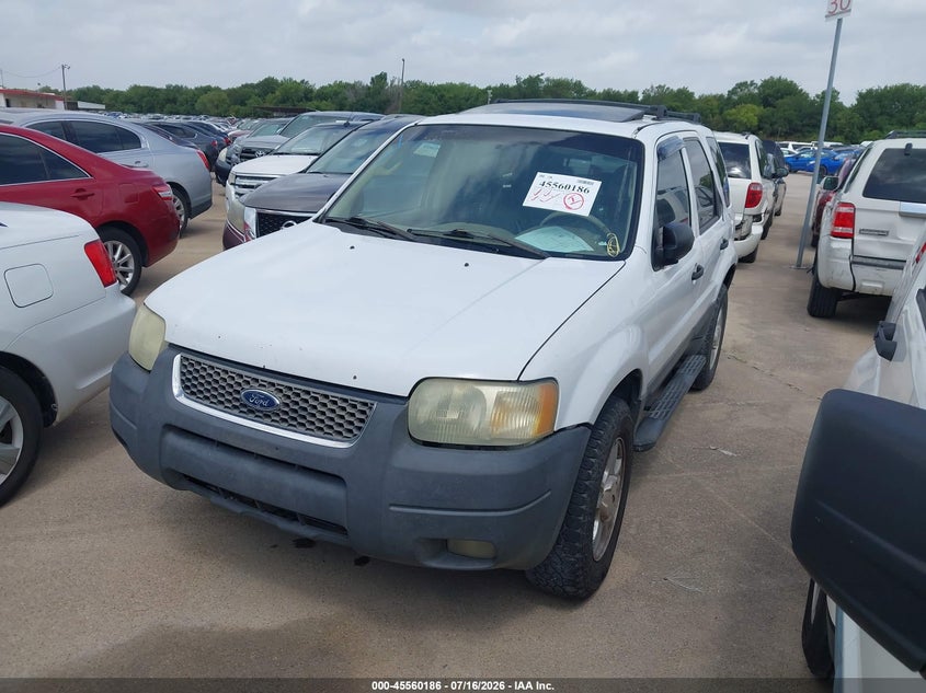 AtlanticExpress - Ford Escape