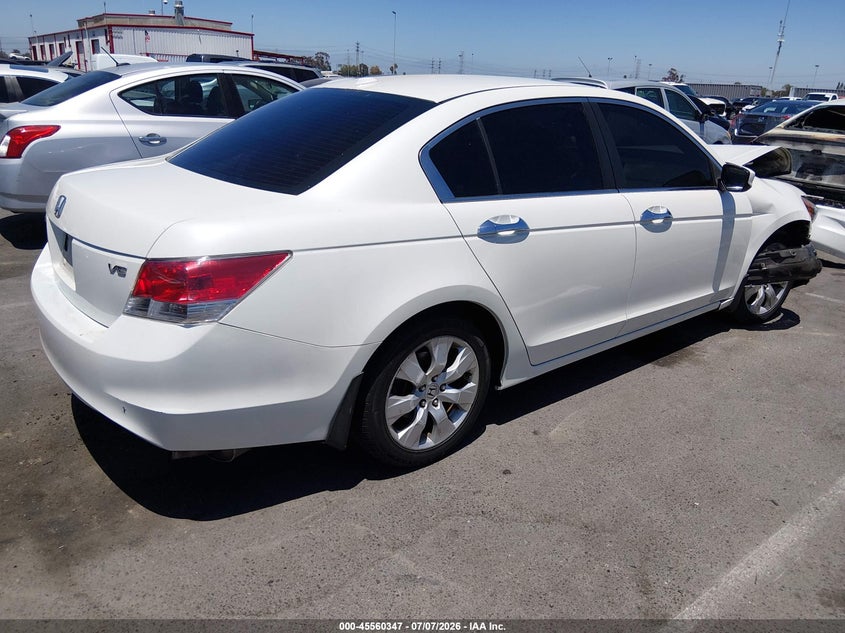 AtlanticExpress - Honda Accord