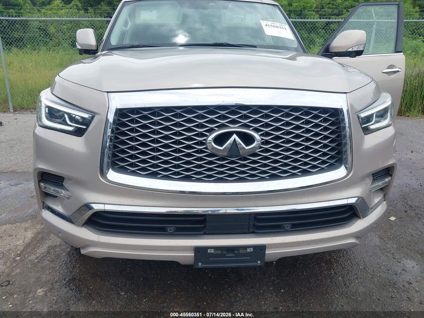 2019 Infiniti Qx80 Luxe VIN: JN8AZ2NE1K9232054 Lot: 45560351