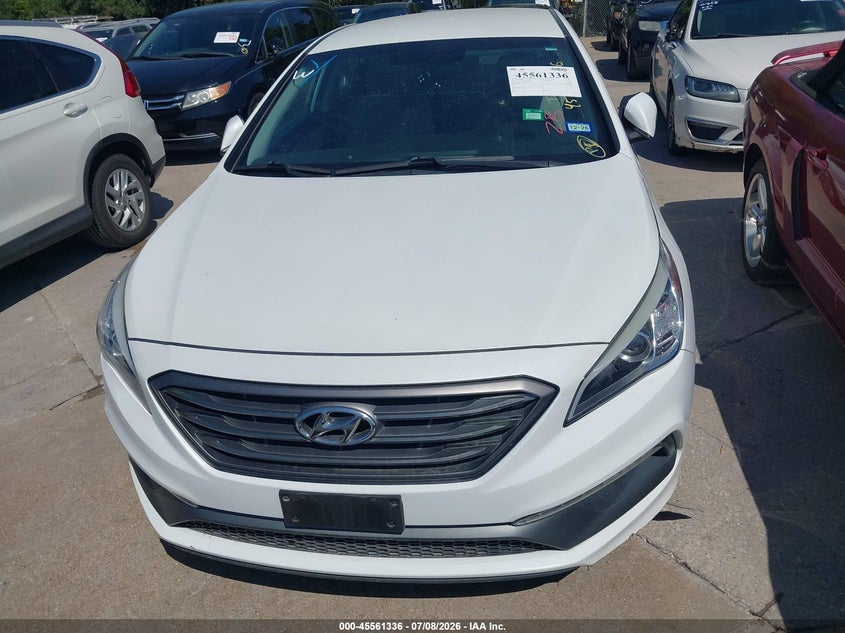 AtlanticExpress - Hyundai Sonata