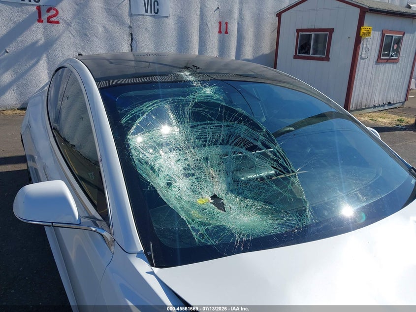 TESLA MODEL 3 - zdjęcie 19
