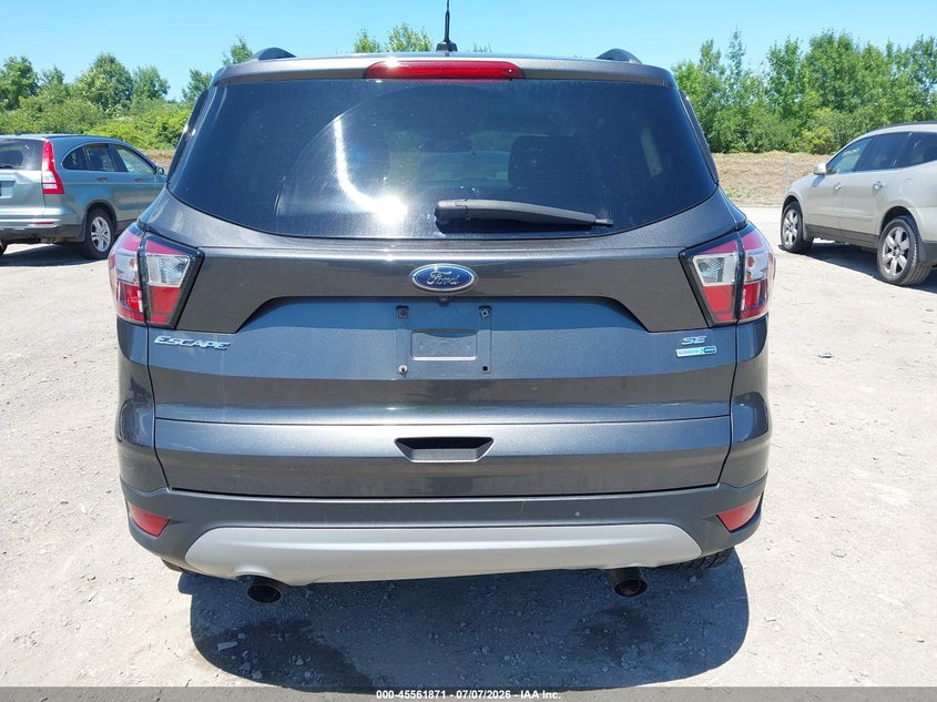 AtlanticExpress - Ford Escape